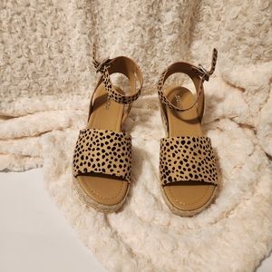 Size 7 wedge leopard sandals. Shoes have never been worn. New without Tags